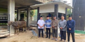 Wujud Kepedulian, Wali Kota Metro Serahkan Sapi Kurban untuk Warga LDII Kota Metro