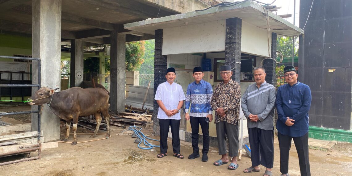 Wujud Kepedulian, Wali Kota Metro Serahkan Sapi Kurban untuk Warga LDII Kota Metro